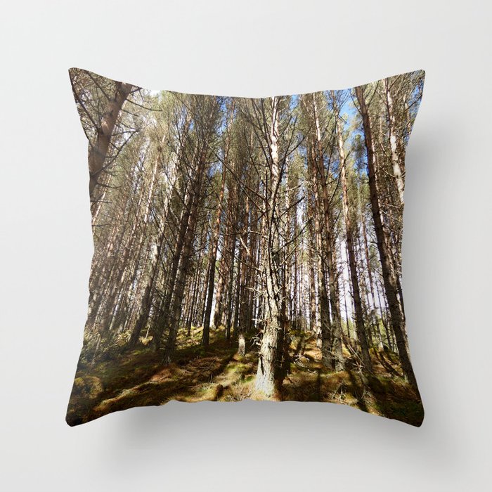 Blue Sky and Shadow in a Spring Scottish Highlands Pine Forest Throw Pillow