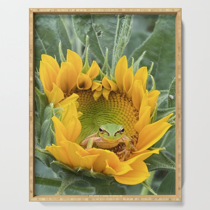 A cute Frog in a Sunflower. Serving Tray