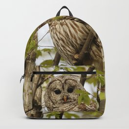 Watchful mom barred owl Backpack
