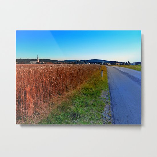 Poppy field road Metal Print
