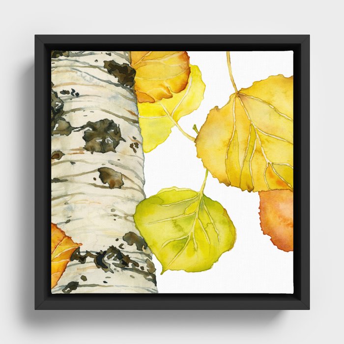 Falling Aspen Leaves Framed Canvas