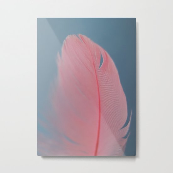 Coral feather Metal Print