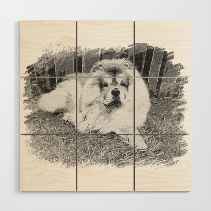 Chow chow  beautiful lion dog Wood Wall Art