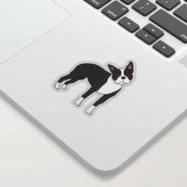 Dapper Boston Terrier Sticker