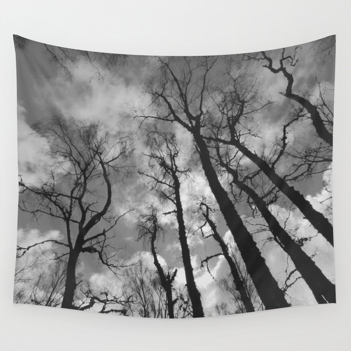 Birch Trees Perspective Scottish Highlands Style in Black and White Wall Tapestry