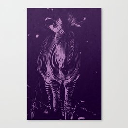 Purple Vintage Zebra Canvas Print