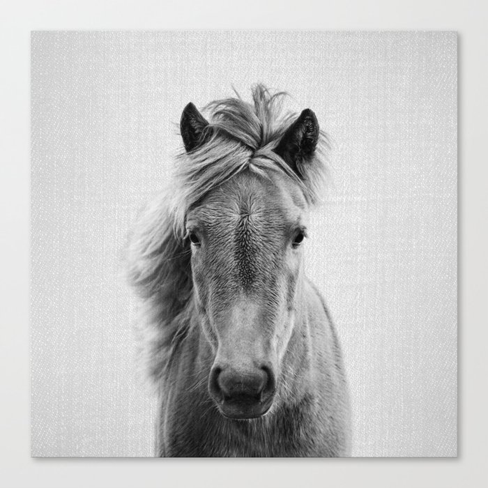 Wild Horse Black White Canvas Print By Galdesign Society6