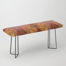 Abstract acrylic sunburst v1 Bench