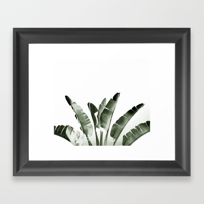 Traveler palm Framed Art Print