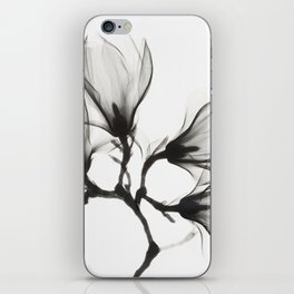 Magnolia Branch with Four Flowers iPhone Skin