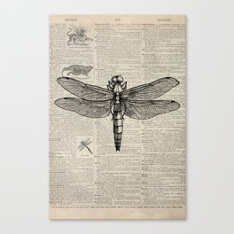 Vintage Dragonfly Sketch  Canvas Print