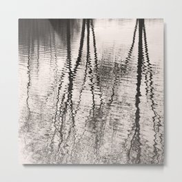 Mirroring. Lake reflections of trees. Metal Print