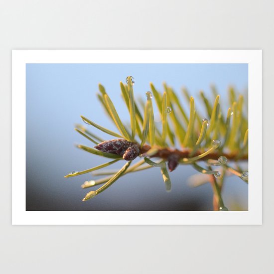 See Clear Art Print
