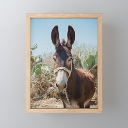 Travel photography print - Donkey in Tunisia - travel print Framed Mini Art Print