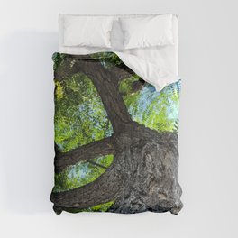 Up a Tree Comforter