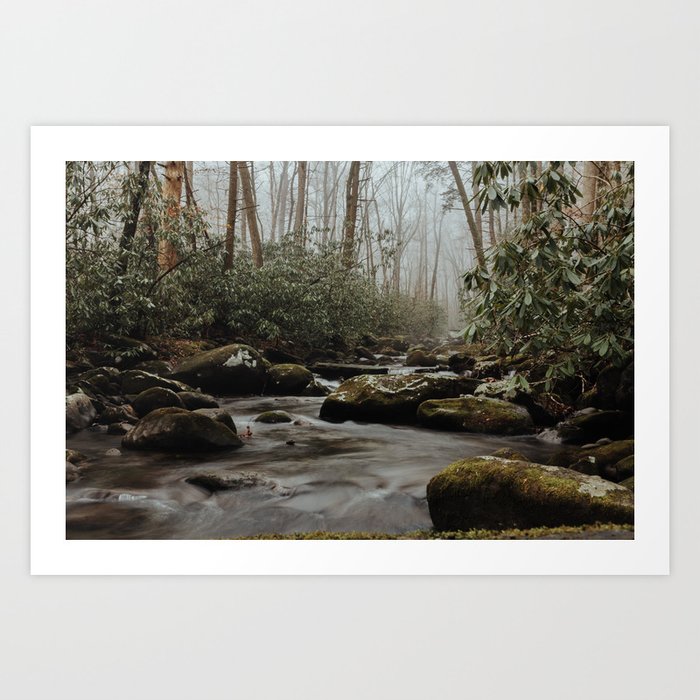 Great Smoky Mountains National Park - Porter's Creek Art Print