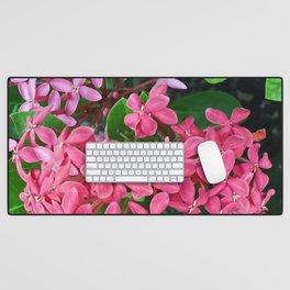 Mexico Photography - Pink Flowers Surrounded By Leaves Desk Mat