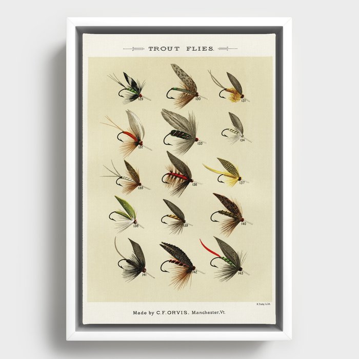 Vintage Fly Fishing Print - Trout Flies Framed Canvas