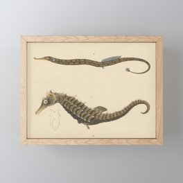 Seahorse And Pipefish Framed Mini Art Print