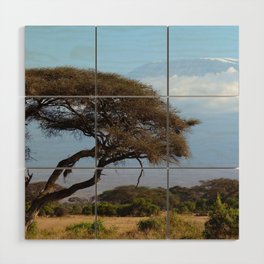 South Africa Photography - Dry Acacia Tree In The Savannah Wood Wall Art