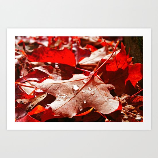 Autumn red Art Print