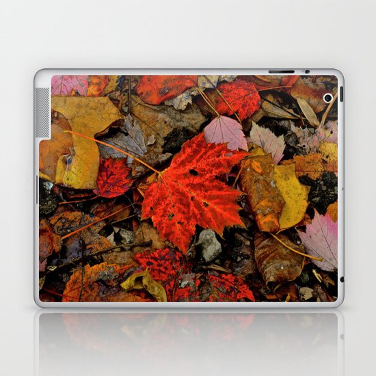 Nature's Palette Laptop & iPad Skin