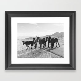 Cold Creek Horse Crew Framed Art Print