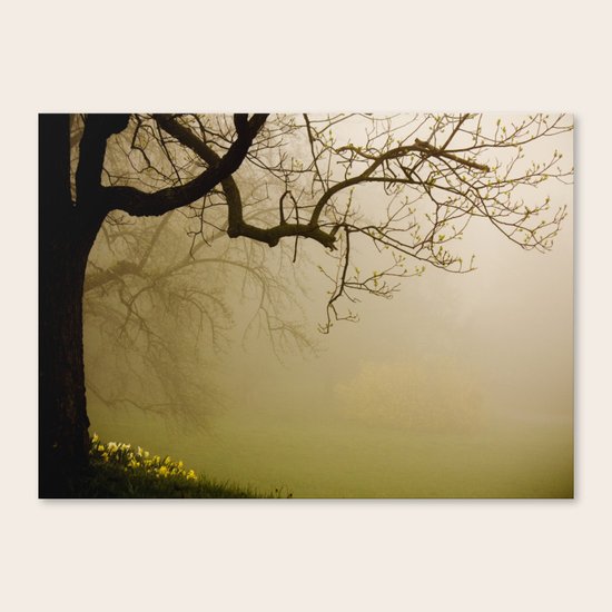 Spring Canvas Print