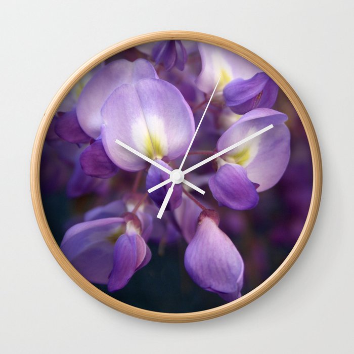 Single Stem Of Wisteria Vine Flower Close Up Photography Wall Clock