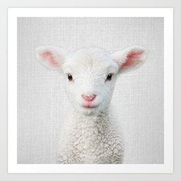 Lamb - Colorful Art Print