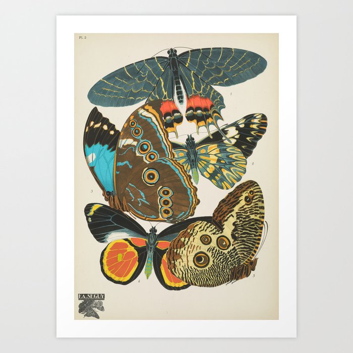 Butterfly and Moth Print by E.A. Seguy, 1920s #10 Art Print
