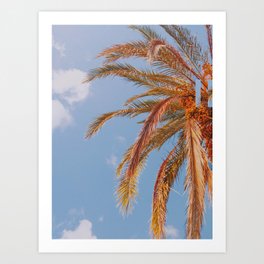 tropical palm leaves xxviii Art Print
