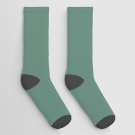 Dark Green Gray Solid Color Pantone Frosty Spruce 18-5622 TCX Shades of Blue-green Hues Socks