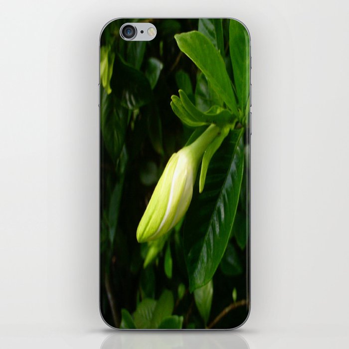 Ready to Bloom iPhone Skin