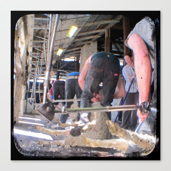 Heads Down, Bums Up - Through The Viewfinder (TTV) Canvas Print