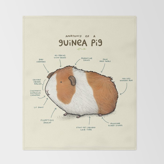 guinea pig blanket