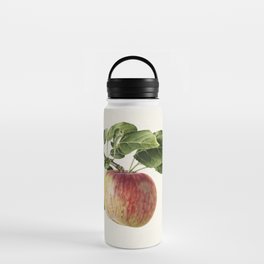 Apple (Malus Domestica) Water Bottle