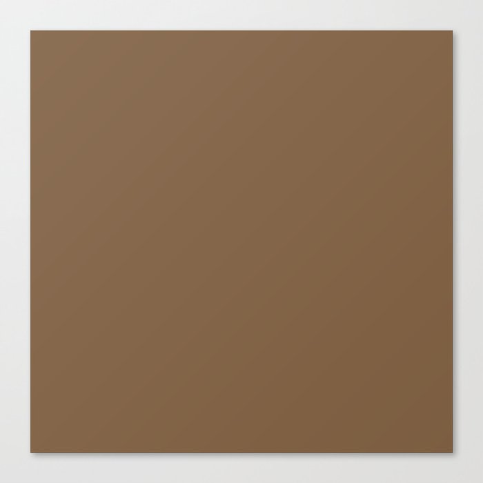 EARTH COLOR. Plain Chocolate Brown Canvas Print