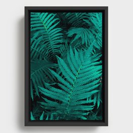 Palm Leaf Framed Canvas