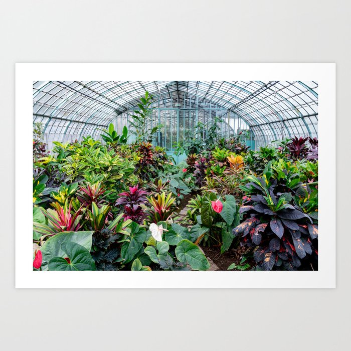 Tropical Greenhouse Art Print