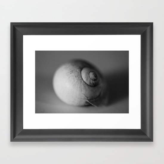 Seashell Framed Art Print