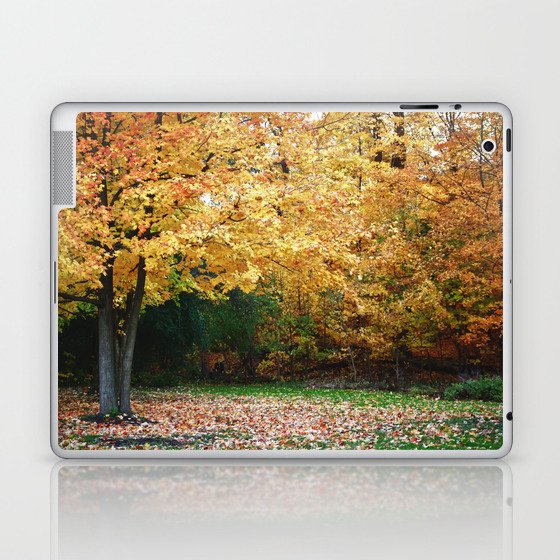 Beautiful Fall Trees Laptop & iPad Skin