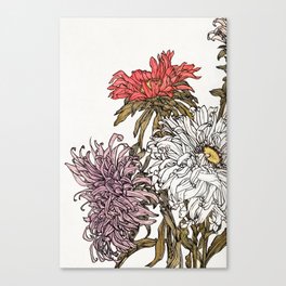 Julie de Graag - Chrysanthemums Canvas Print