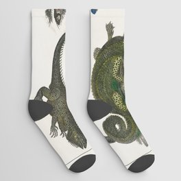Collection of Various Reptiles Socks