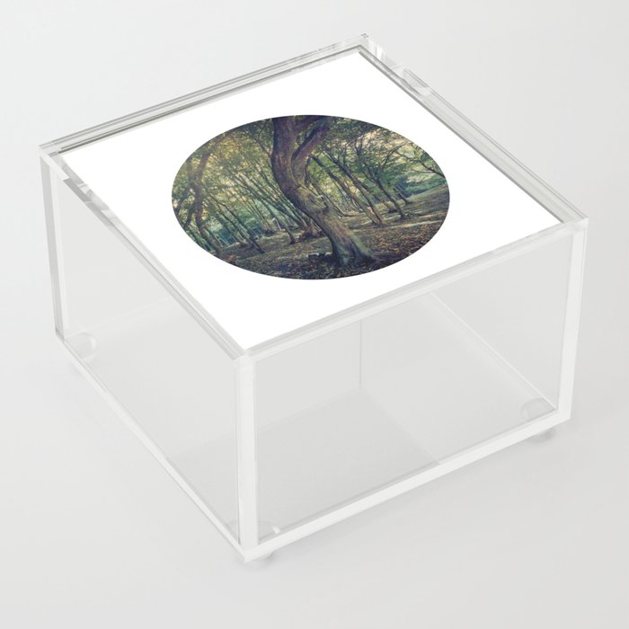 Conforting green deciduous forest landscape Acrylic Box