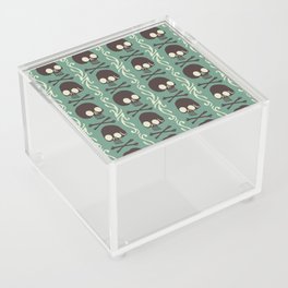 Wide Eye Skulls Acrylic Box