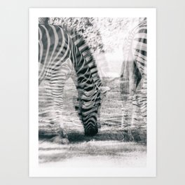 Kaktuskaktus S Store Society6 Kaktuskaktus S Store Society6