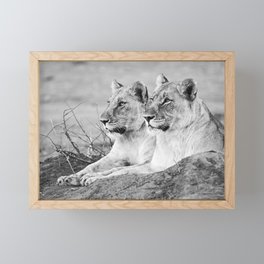 Lion print | Mother and daughter | Lion artwork | Black and white print Framed Mini Art Print