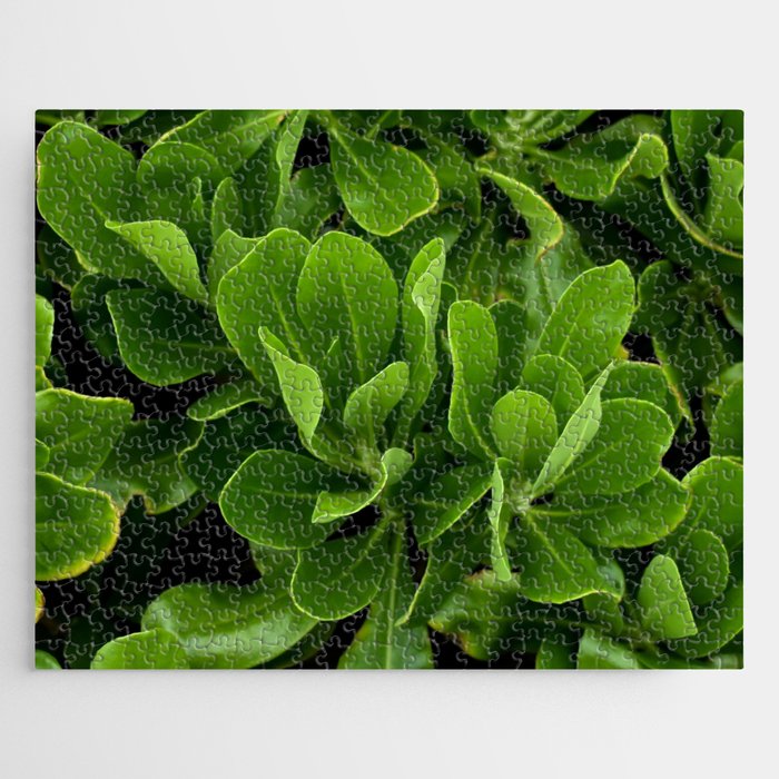 Leafy Greens Jigsaw Puzzle