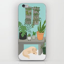 Snake plant, cactus and monstera plants with dog iPhone Skin
